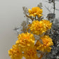 Arrangement "Golden Frost"
