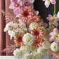 Arrangement "Something cute"