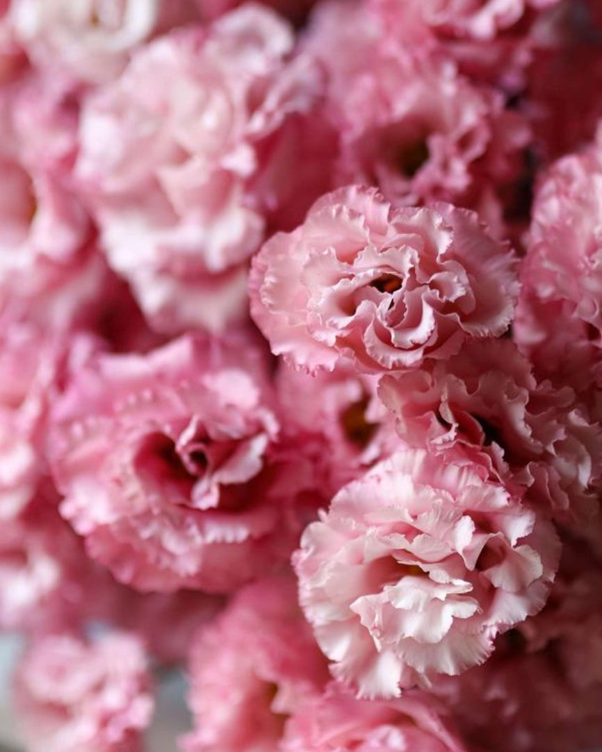 Bouquet "Tender hugs"