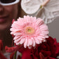 Flower box "Crimson Peak"