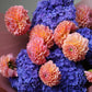 Bouquet "Flowers Lovers"