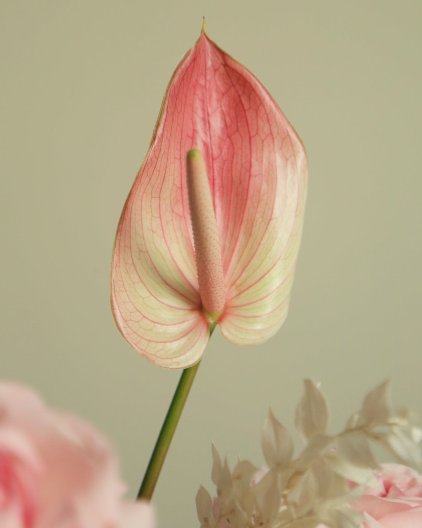 Flower arrangement 10
