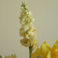 Flower arrangement 10