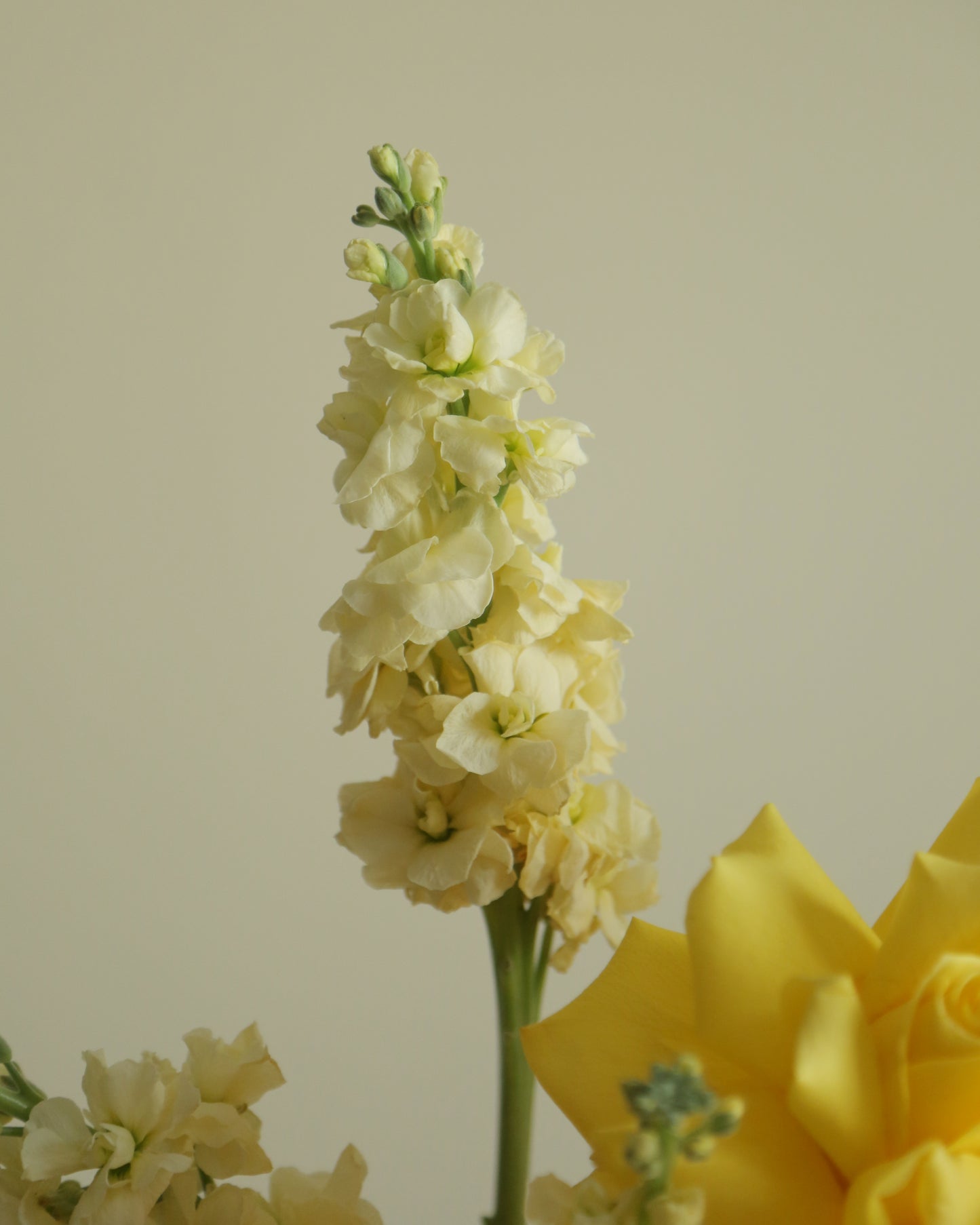 Flower arrangement 10
