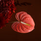 Flower Basket "The original sin"