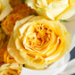 Bouquet "Yellow Beard"