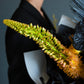 Bouquet "Yellow Beard"