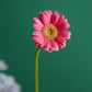 Flower Arrangement “Bloom pink”