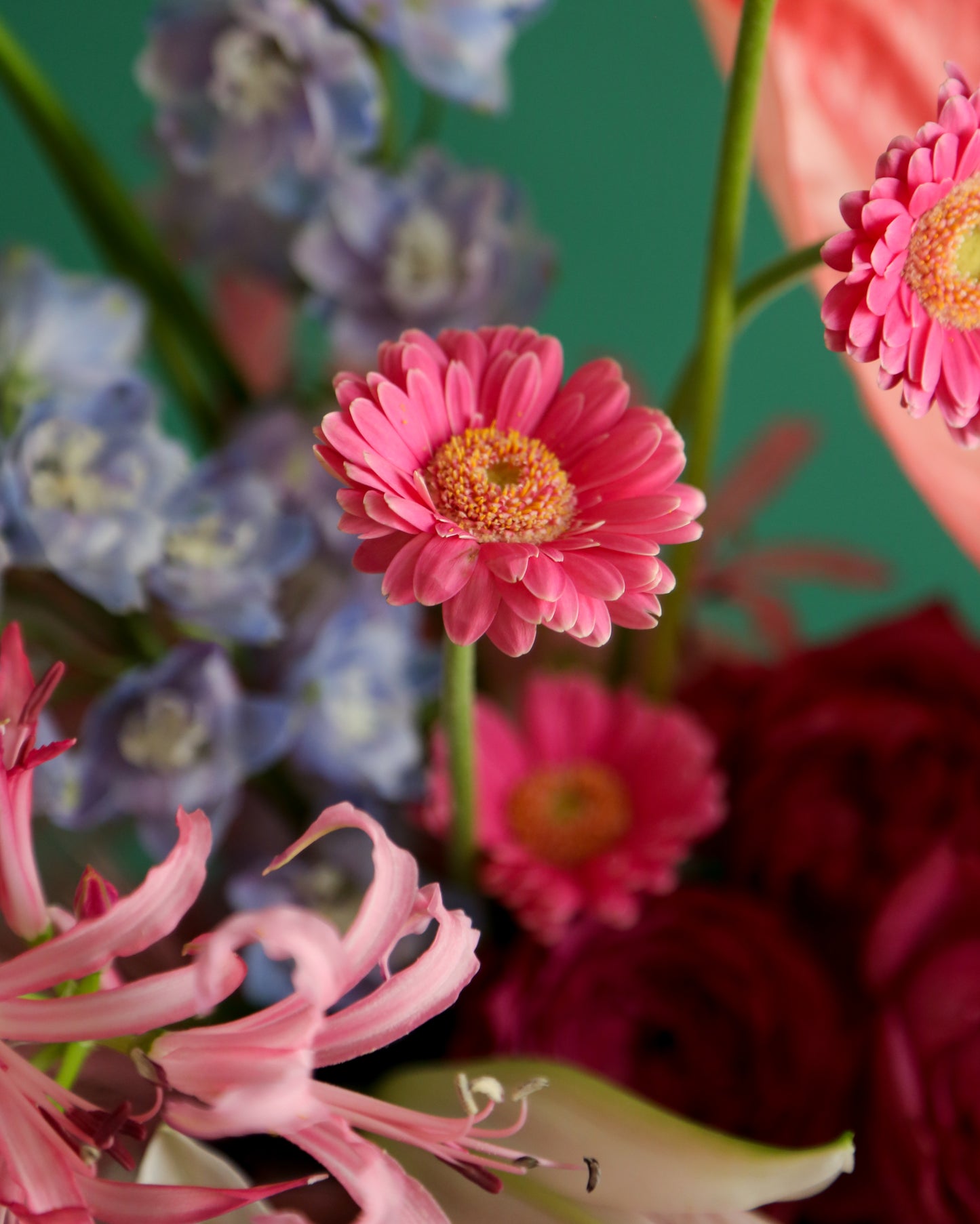 Flower Arrangement “Bloom pink”