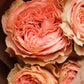 Bouquet "Rose fields"