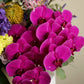 Flower box "Caribbean punch"