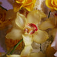Flower Box "Pink Honey"