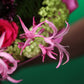 Bouquet "Color double"