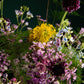 Flower arrangement "Green spider"