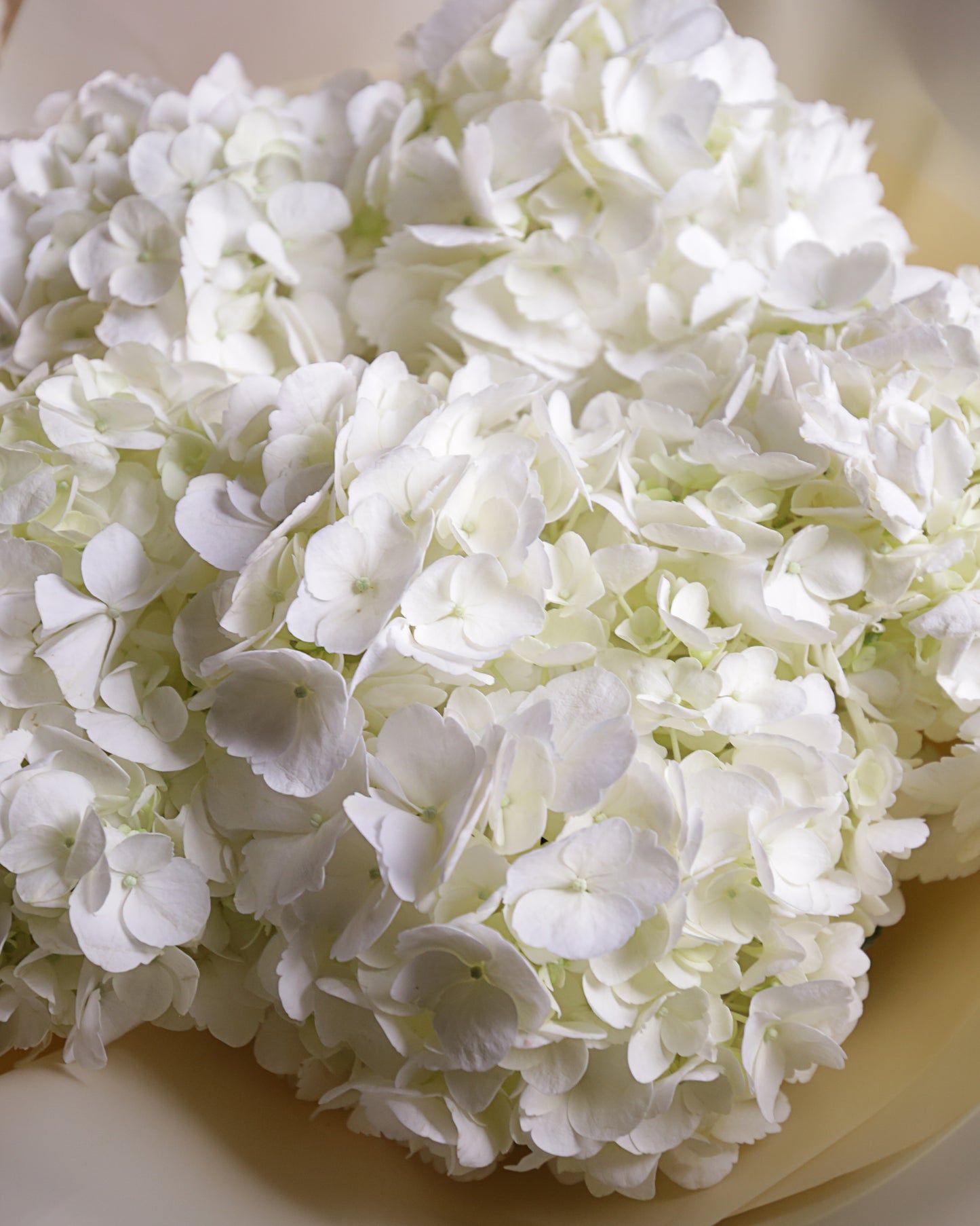Bouquet "Frost"