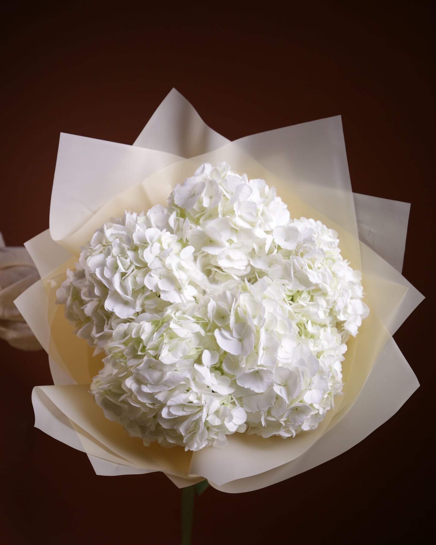 Bouquet "Frost"