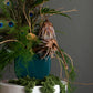 Flower arrangement "Fairy tale"