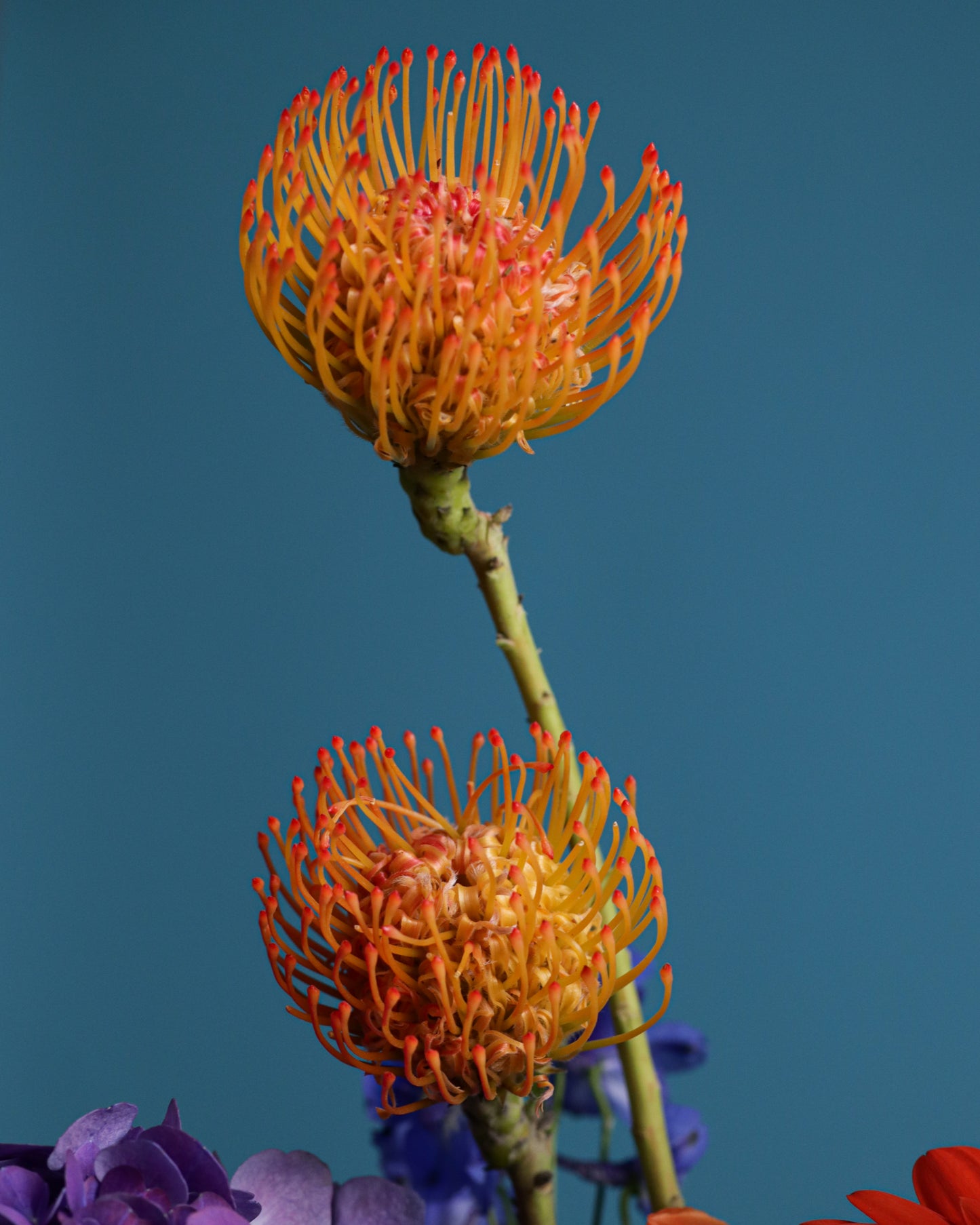 Flower arrangement "Orange Star"