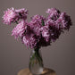 Bouquet "Purple storm"