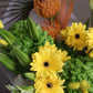 Bouquet “Lemon zest”