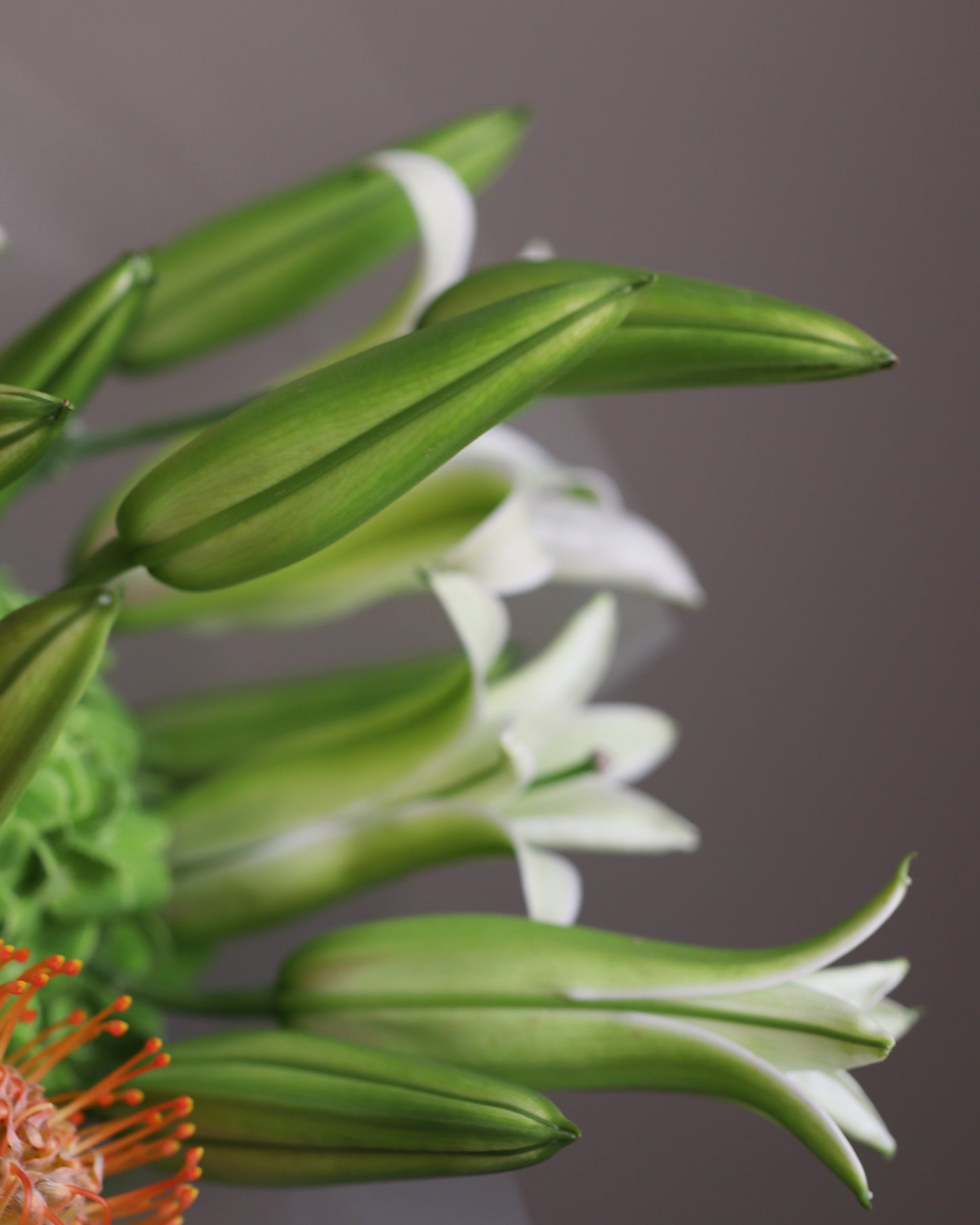 Bouquet “Lemon zest”