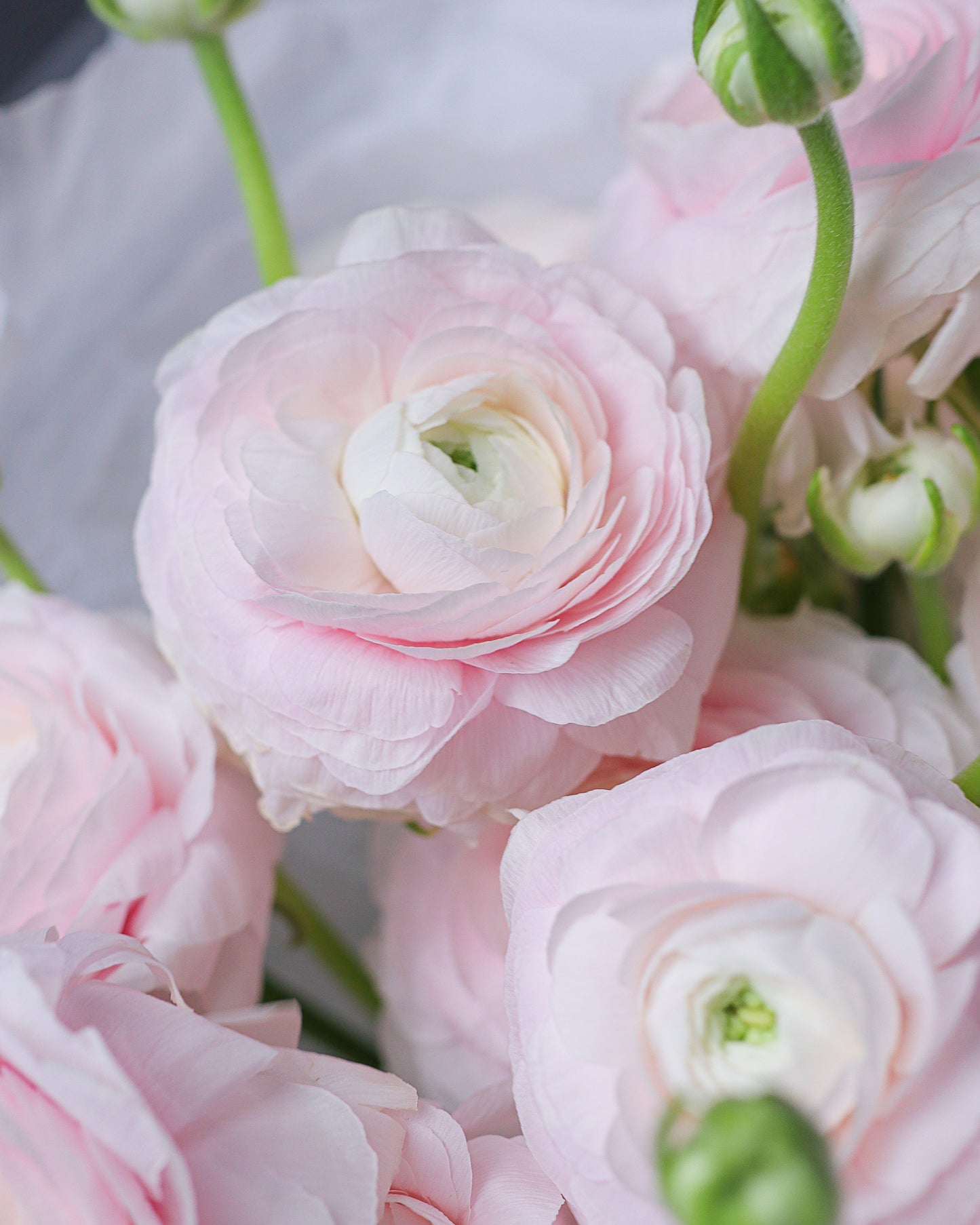 Bouquet "Soft Butterfly"
