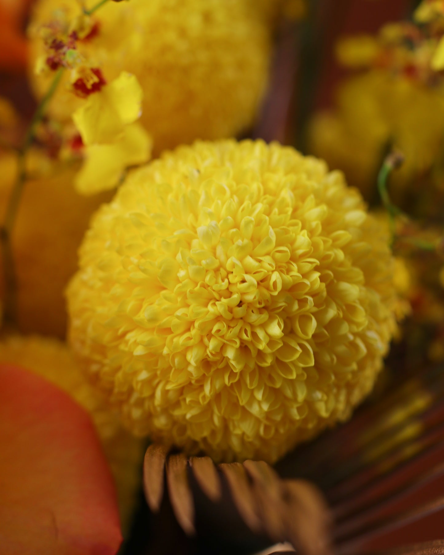 Flower arrangement "Gold bar"