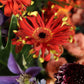Bouquet "Dew drops"