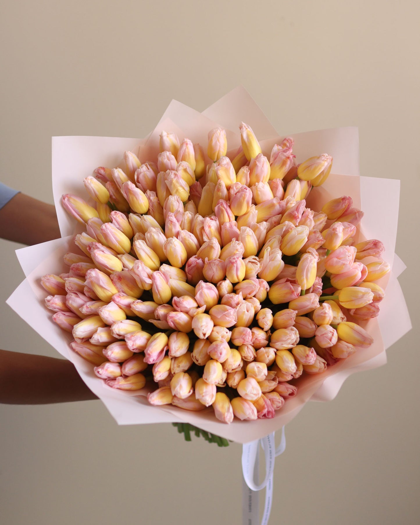 Mono of tulips