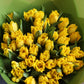 Mono of tulips