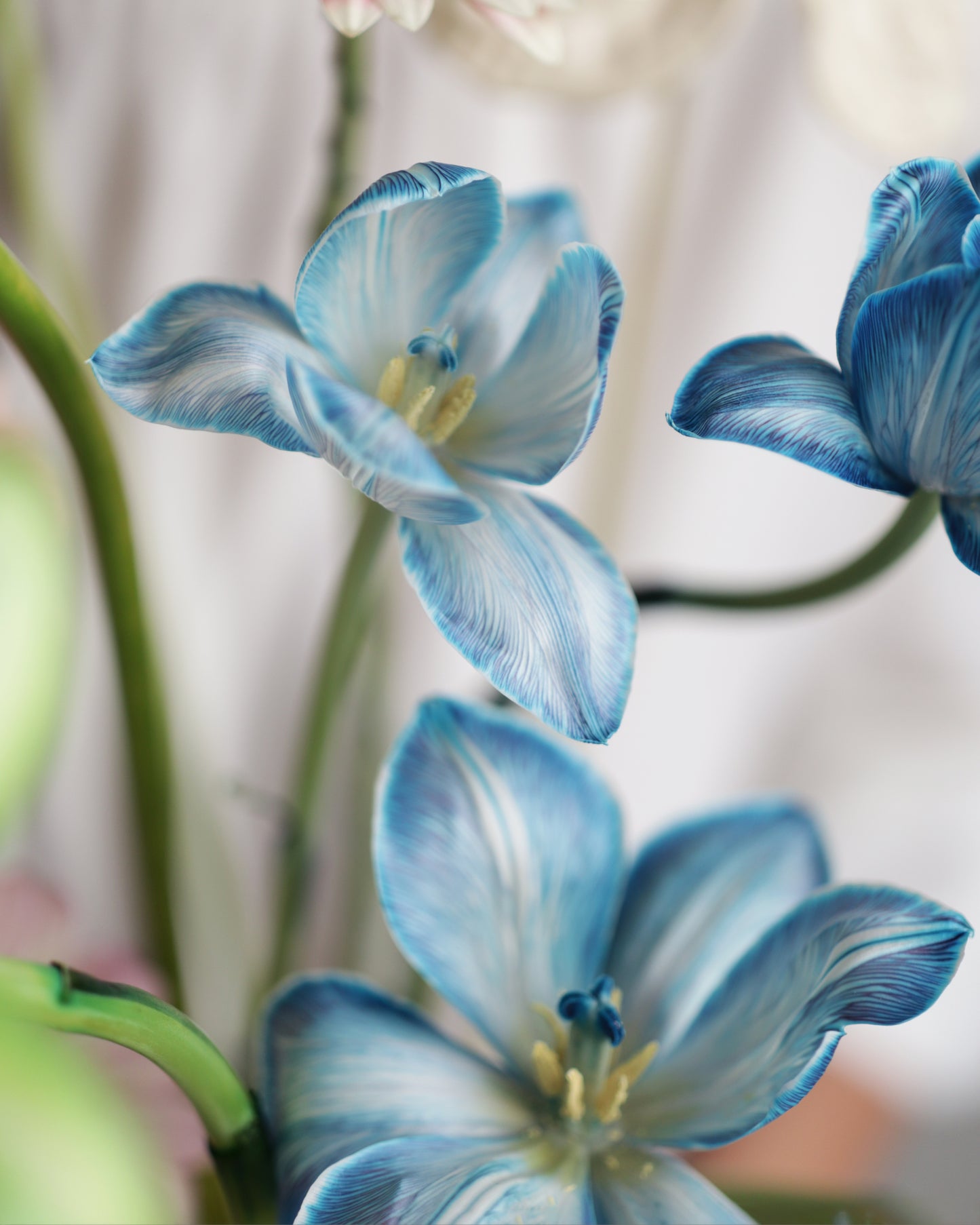 Flower arrangement 8
