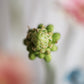 Flower arrangement 8