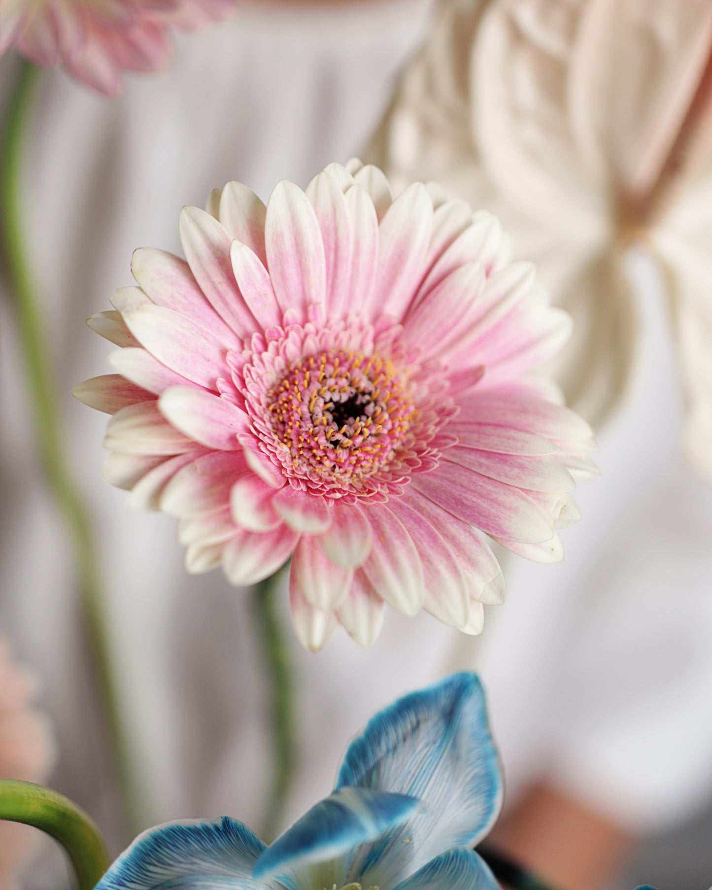 Flower arrangement 8