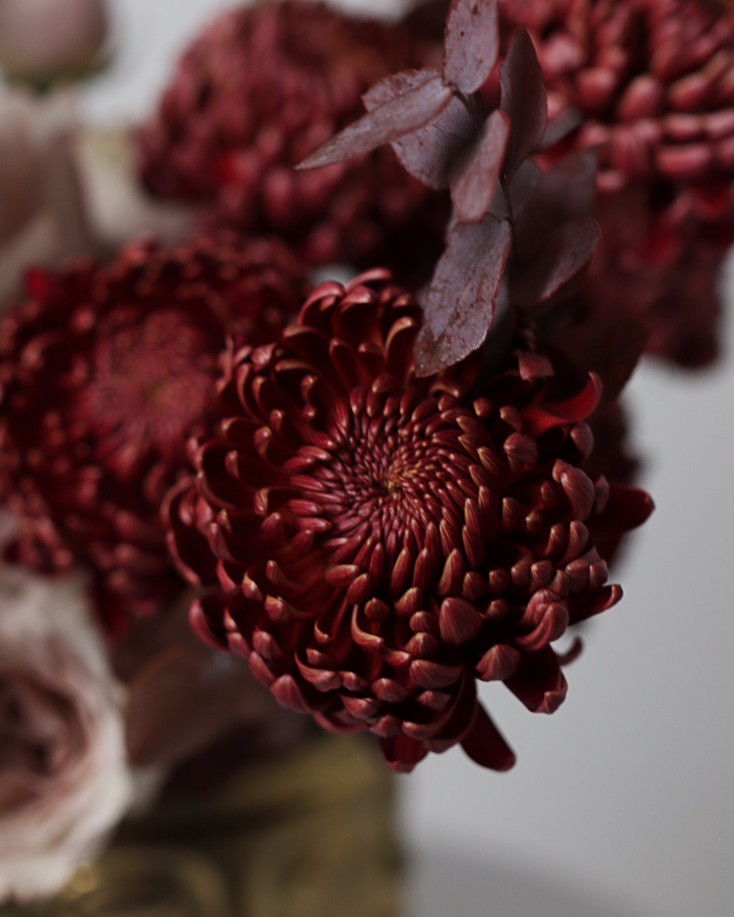 Arrangement "Coffee Loop"