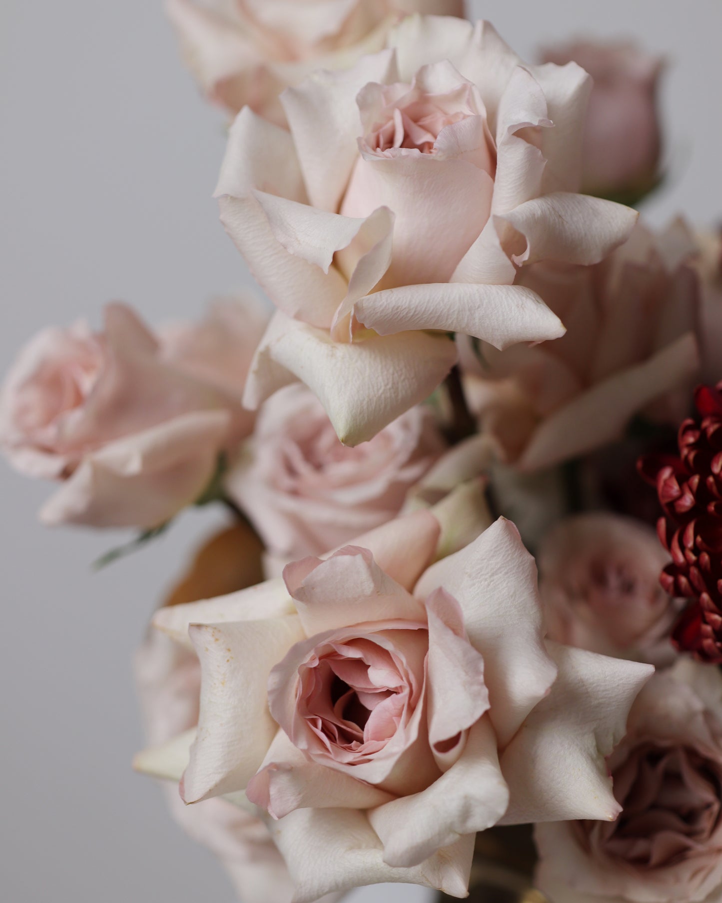 Arrangement "Coffee Loop"