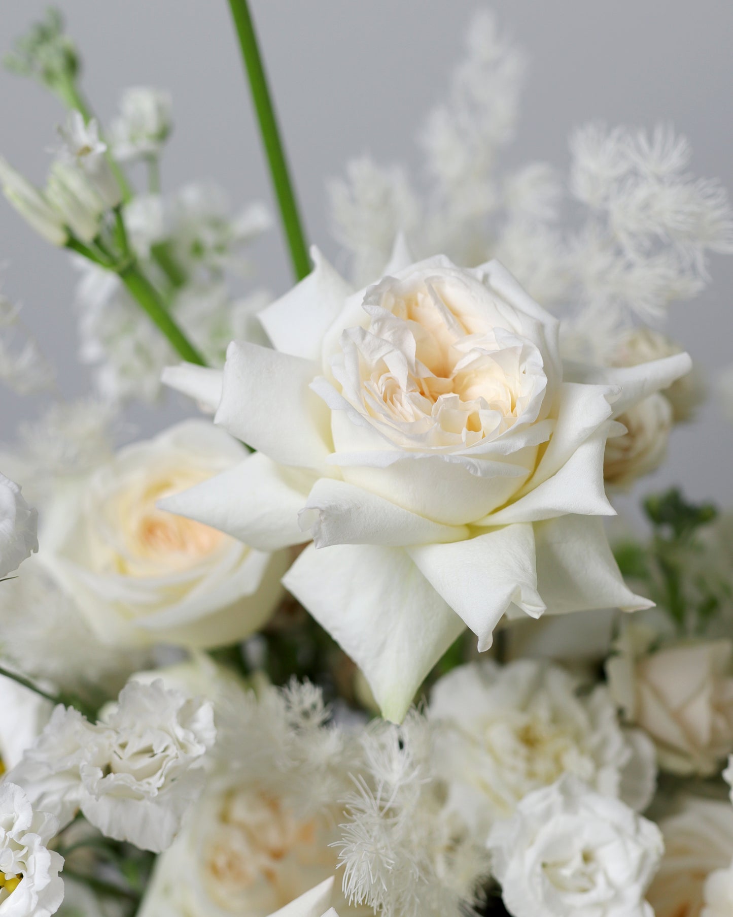 Arrangement "North wind"