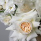 Arrangement "North wind"