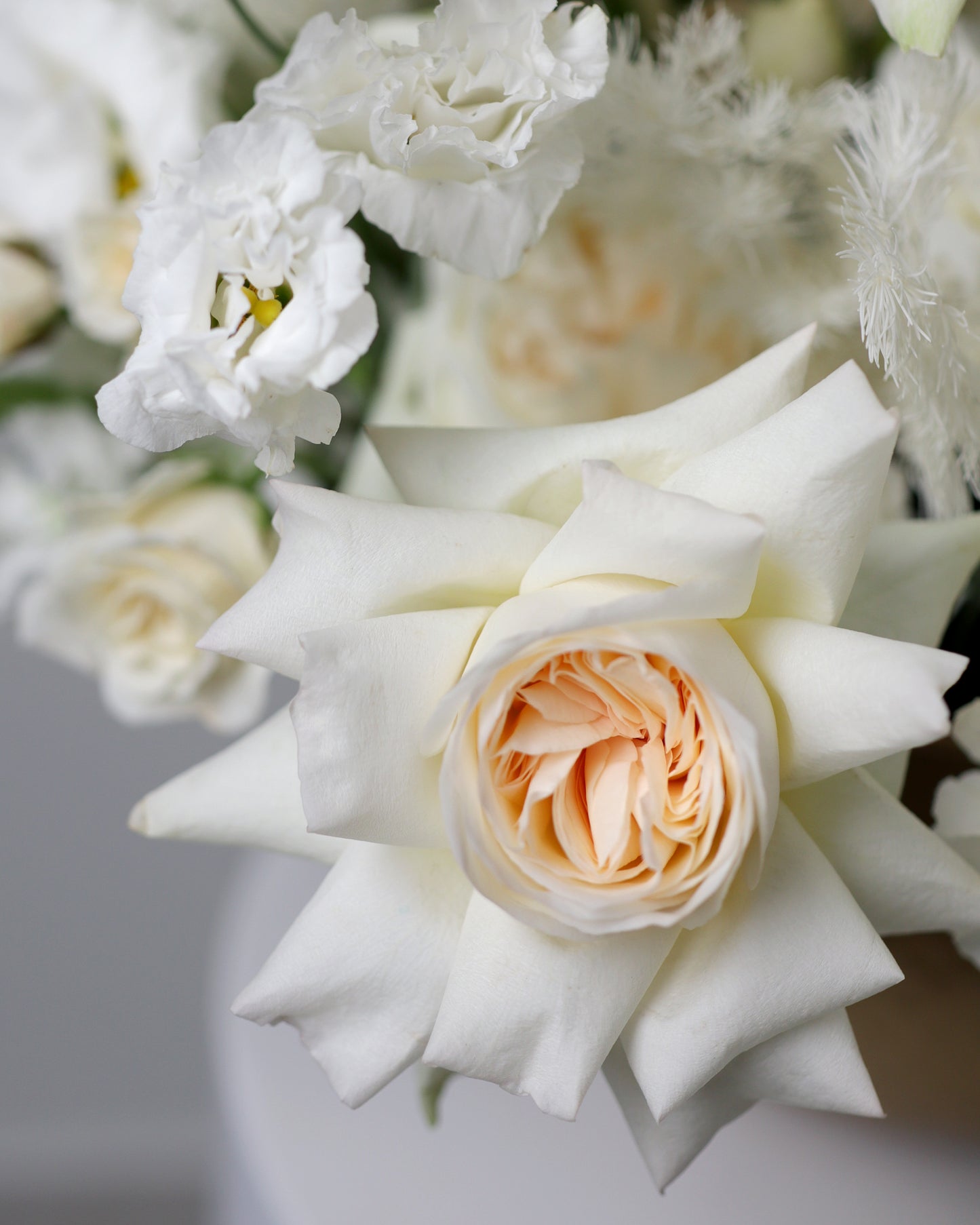 Arrangement "North wind"