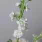 Arrangement "North wind"