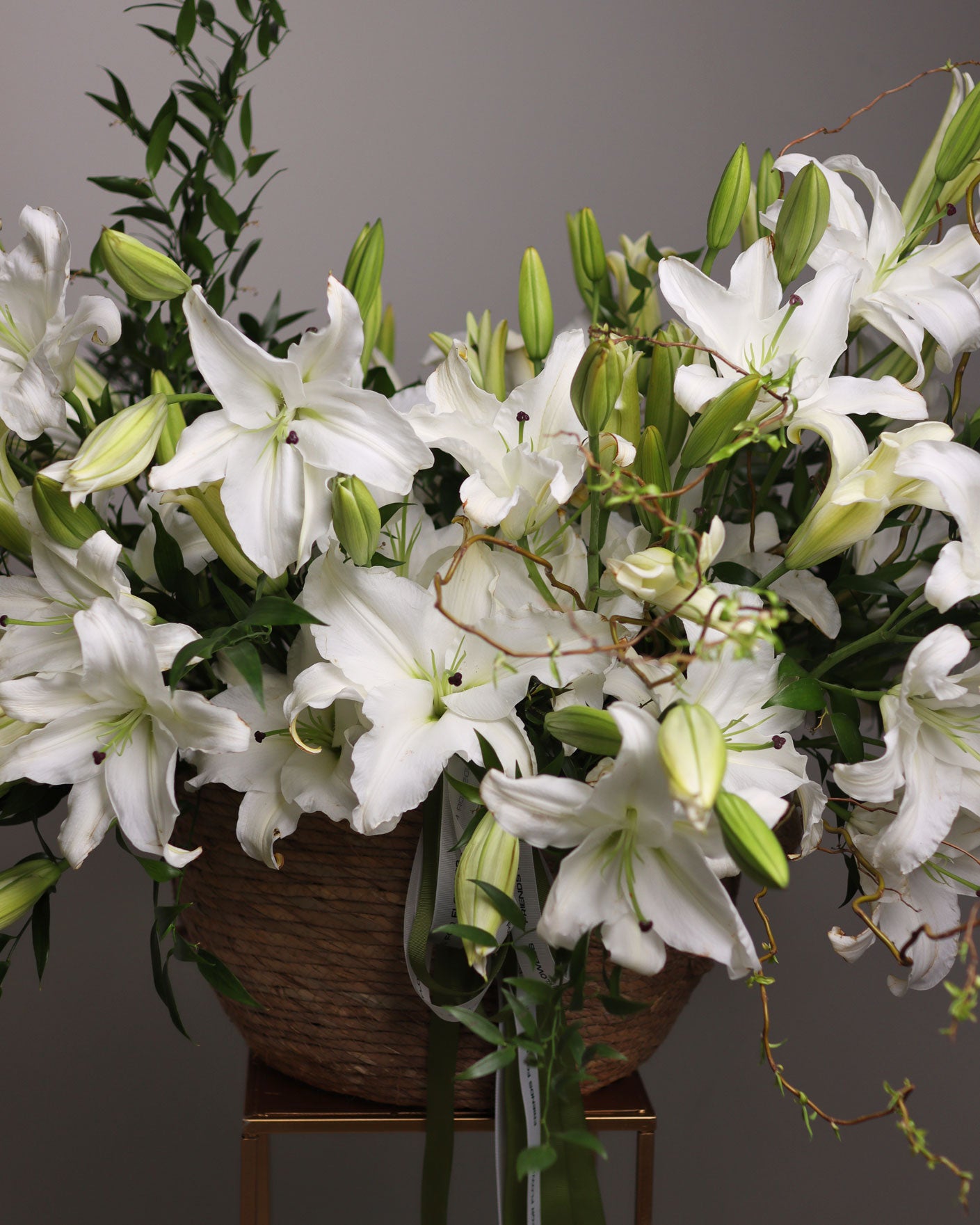 "Snow-White Lotus"