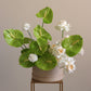 "Green Bloom"