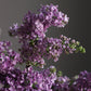 Arrangement "Minimalism"