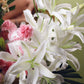 Flower arrangement "Euphoria"