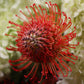 Flower arrangment 8