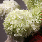 Flower arrangment 8