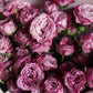 Bouquet "Lilac comet"