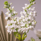 Arrangement "Moon flowers"