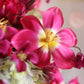 "Blooming color"