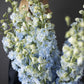 Bouquet "Simple love"