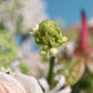 Bouquet "Green Pouder"